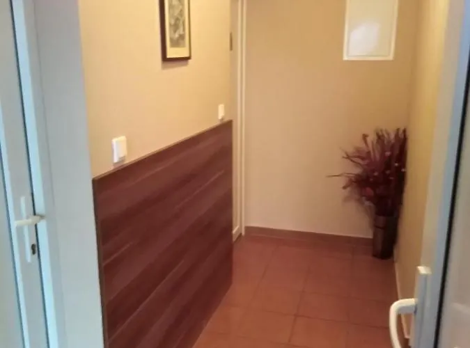 Boglarka Vendeghaz Daire