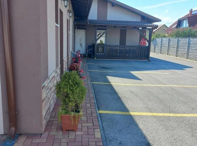 Boglarka Vendeghaz *