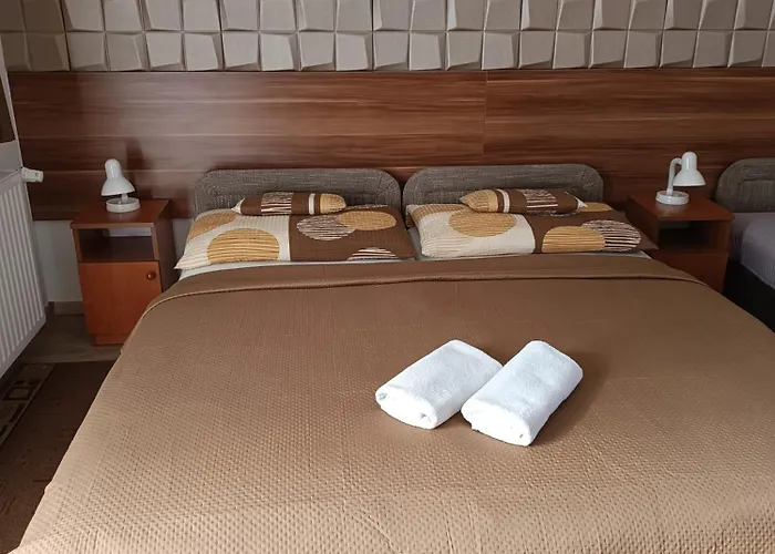 Daire Boglarka Vendeghaz *