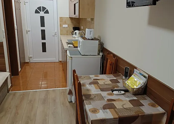 Boglarka Vendeghaz *