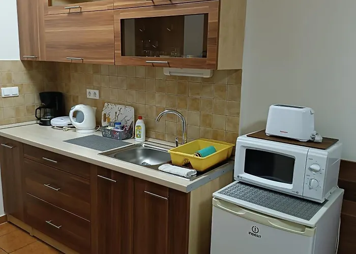 Boglarka Vendeghaz