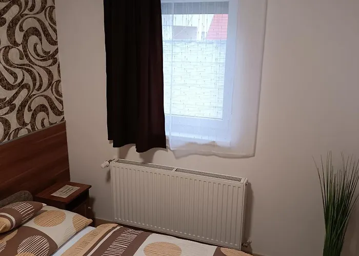 Boglarka Vendeghaz *